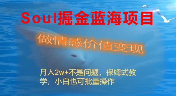 Soul掘金蓝海项目细分赛道，做情感价值变现，月入2w+不是问题-点点短视频网