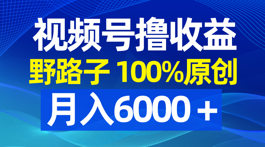 视频号野路子撸收益，100%原创，条条爆款，月入6000＋-点点短视频网