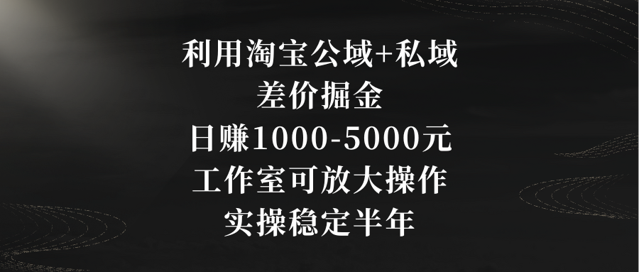 利用淘宝公域+私域差价掘金，日赚1000-5000元，工作室可放大操作，实操…-点点短视频网
