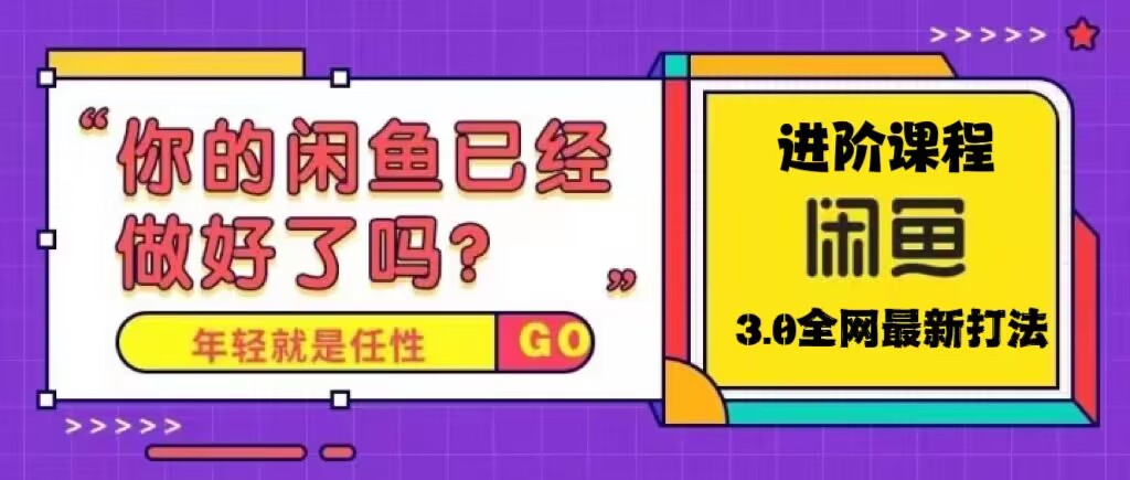 火爆全网的咸鱼玩法进阶课程，单号日入1K的咸鱼进阶课程-点点短视频网
