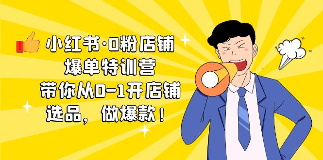小红书·0粉店铺爆单特训营 带你从0-1开店铺，选品，做爆款（课程+工具包）-点点短视频网