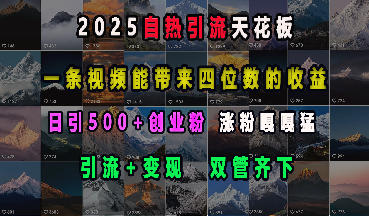 2025自热引流天花板，一条视频能带来四位数的收益，引流+变现双管齐下，日引500+创业粉，涨粉嘎嘎猛-点点短视频网