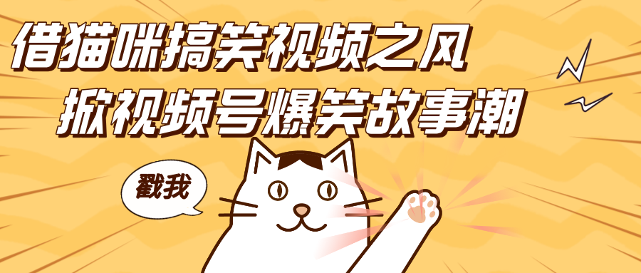 借猫咪搞笑视频之风，掀视频号爆笑故事潮，轻松日赚四位数，开启无门槛赚钱新体验！-点点短视频网