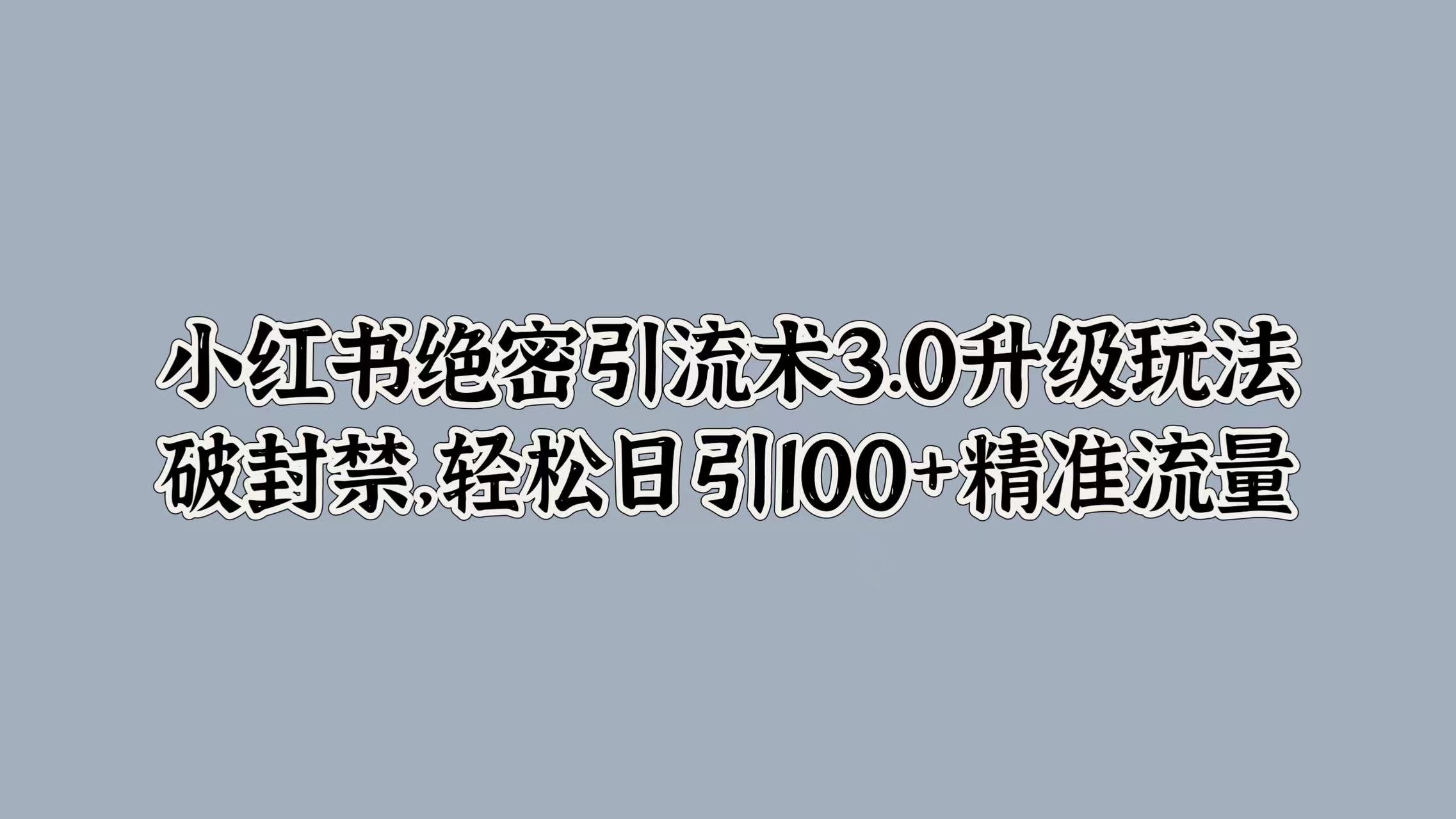 小红书绝密引流术3.0升级玩法，破封禁，轻松日引100+精准流量-点点短视频网