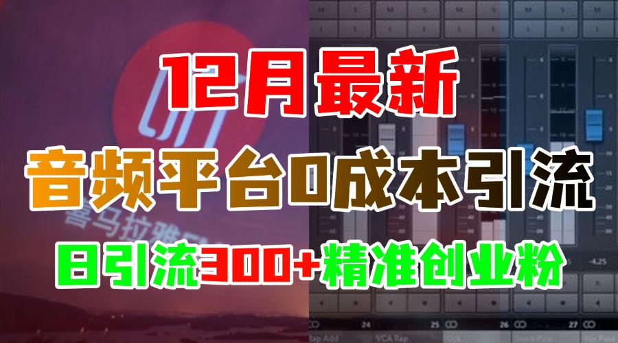 12月最新：音频平台0成本引流，日引300+精准创业粉-点点短视频网