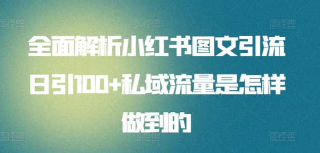 暴力引流 小红书图文引流日引100私域全面拆解【打粉人必看】-点点短视频网