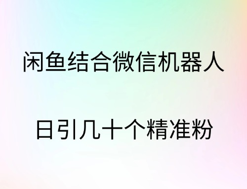 闲鱼结合微信机器人，日引几十个精准粉-点点短视频网