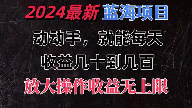 有手就行的2024全新蓝海项目，每天1小时收益几十到几百，可放大操作-点点短视频网