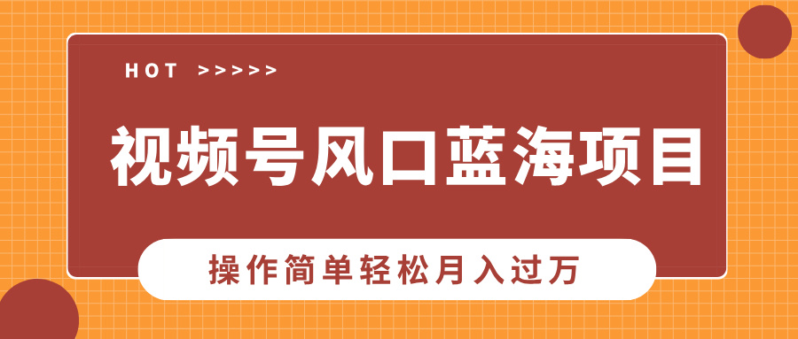 视频号风口蓝海项目，中老年人的流量密码，操作简单轻松月入过万-点点短视频网