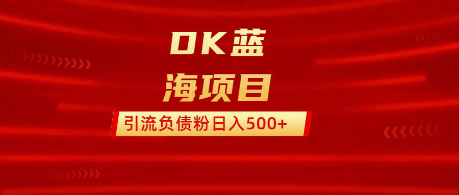 DK蓝海项目  通过，抖音，快手，小红书，引流负债粉日入500+-点点短视频网