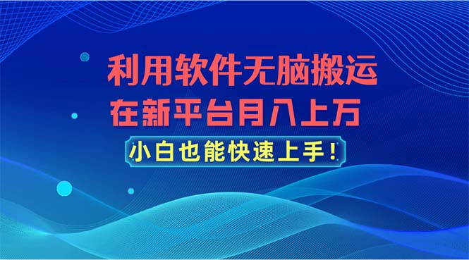 利用软件无脑搬运，在新平台月入上万，小白也能快速上手-点点短视频网