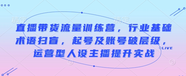 直播带货流量训练营，行业基础术语扫盲，起号及账号破层级，运营型人设主播提升实战-点点短视频网