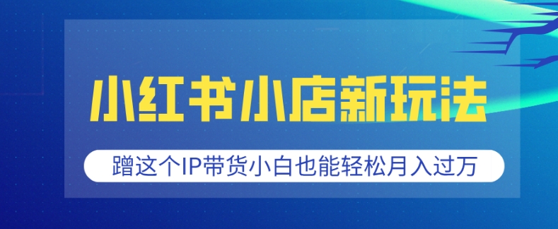 小红书小店新玩法，蹭这个IP带货，小白也能轻松月入过W【揭秘】-点点短视频网