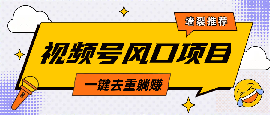 视频号风口蓝海项目，中老年人的流量密码，简单无脑，一键去重，轻松月入过万-点点短视频网
