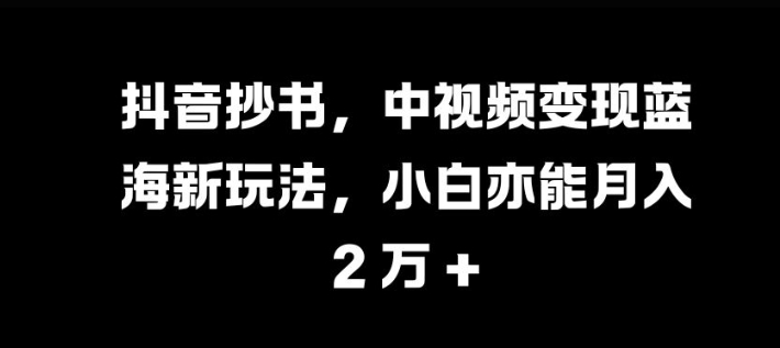 抖音抄书，中视频变现蓝海新玩法，小白亦能月入 过W【揭秘】-点点短视频网