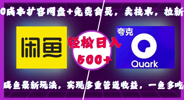 0成本扩容网盘+免费会员，卖技术，拉新，咸鱼最新玩法，实现多重管道收益，一鱼多吃，轻松日入500+-点点短视频网