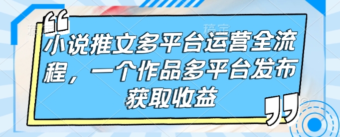 小说推文多平台运营全流程，一个作品多平台发布获取收益-点点短视频网