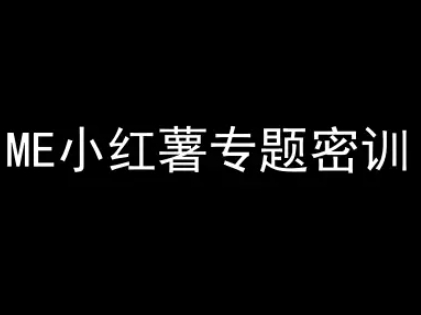 ME小红薯专题密训-小红书电商教程-点点短视频网