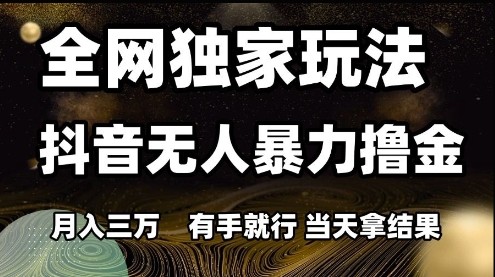 全网独家玩法抖音无人暴力撸金，月入3W，有手就行，当天拿结果【揭秘】-点点短视频网