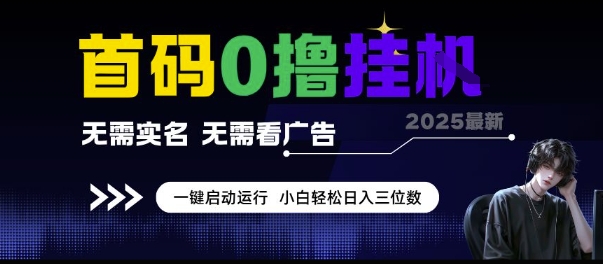 首码0撸挂G项目，无需实名无需看广告 一键启动运行，小白轻松日入三位数【揭秘】-点点短视频网