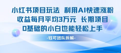 适合小白操作的小红书新项目，利用AI快速涨粉，收益每月平均1W+-点点短视频网