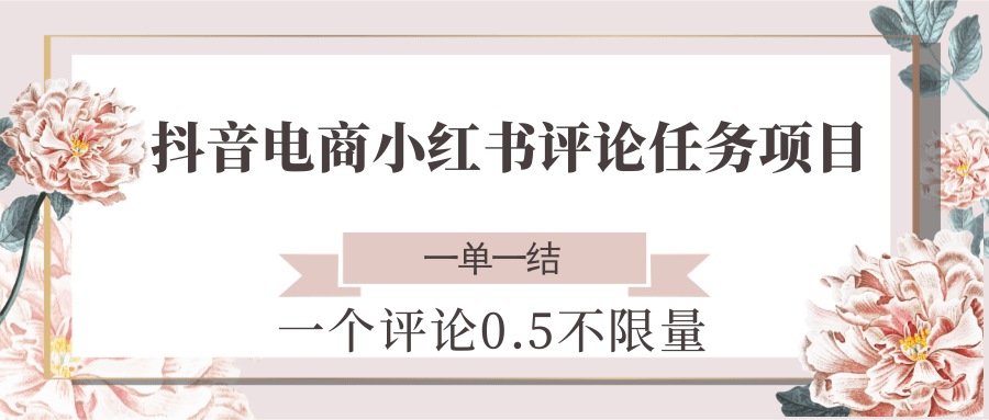 抖音电商小红书评论任务项目，一个评论0.5，一单一结 不限量-点点短视频网