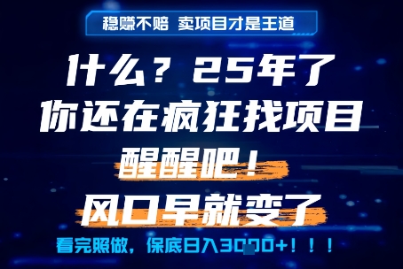 什么？25年你还在疯狂找项目做，醒醒吧，看完这些你全都懂了！【揭秘】-点点短视频网