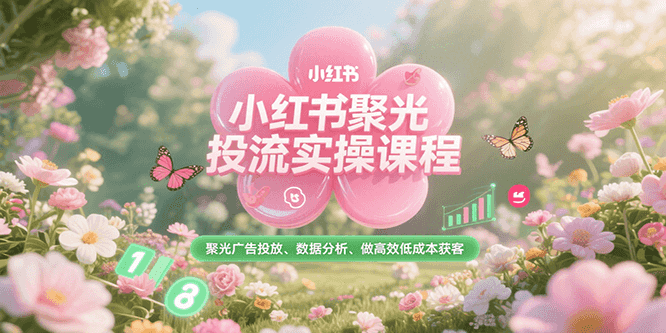 小红书聚光投流实操课程，聚光广告投放、数据分析、做高效低成本获客-点点短视频网