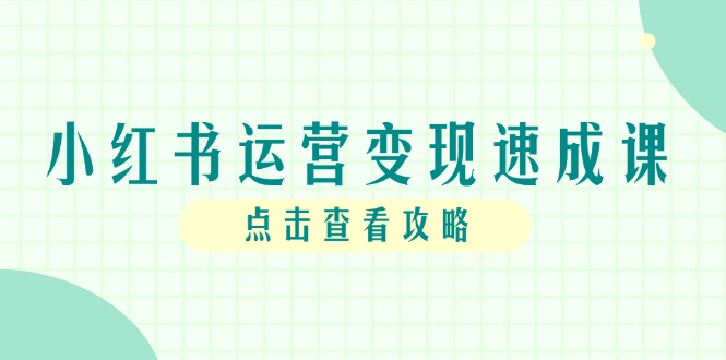 小红书运营变现速成课，账号搭建到暴力起号，个人IP全流程指南-点点短视频网