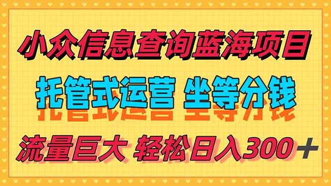 稳定日入300＋，小众信息查询蓝海项目，全程懒人式托管，解放你的时间-点点短视频网