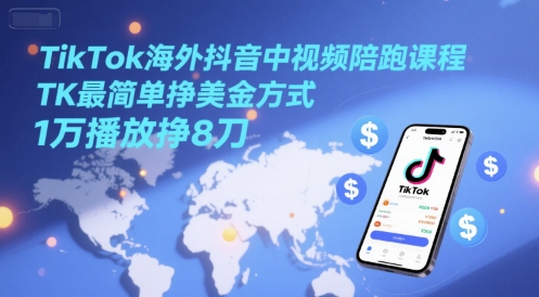TikTok海外抖音中视频陪跑课程，TK最简单挣美金方式，1万播放挣8刀-点点短视频网