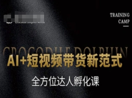 AI+短视频带货新范式，全方位达人孵化课-点点短视频网