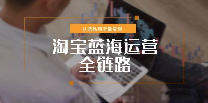淘宝蓝海运营全链路，从选品到流量变现，小类目突围完整方案-点点短视频网