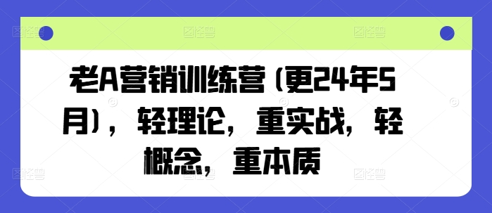 老A营销训练营(更25年6月)，轻理论，重实战，轻概念，重本质-点点短视频网