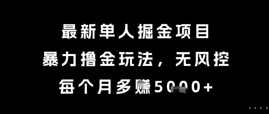 最新单人掘金项目，暴力撸金玩法，无风控，每个月多挣5k+【揭秘】-点点短视频网