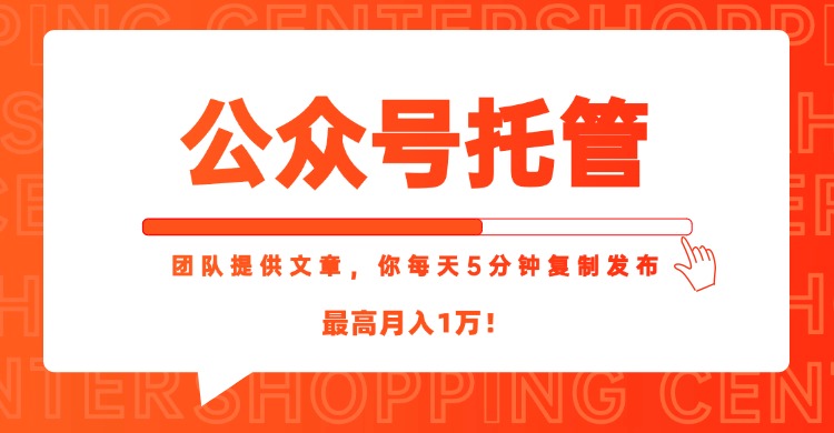 【公众号托管 】我提供文章，你每天５分钟复制发布，最高月入1W-点点短视频网