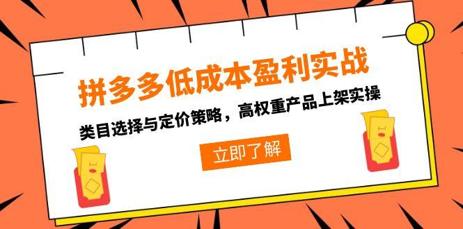 拼多多低成本盈利实战，类目选择与定价策略，高权重产品上架实操-点点短视频网