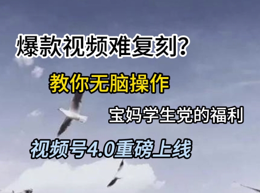 视频号4.0重磅上线，爆款视频难复刻？教你无脑操作宝妈学生党的福利【揭秘】-点点短视频网