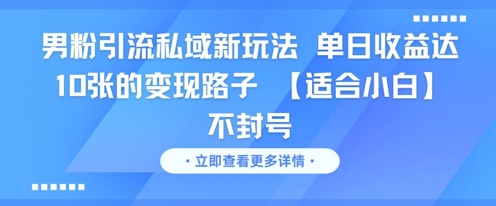 男粉引流私域新玩法，单日收益达10张的变现路子 【适合小白】不封号-点点短视频网