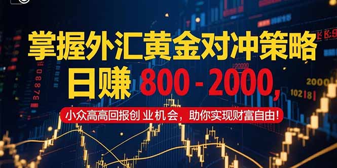 掌握外汇黄金对冲策略，日赚 800 – 2000，小众高回报创业机会，助你实…-点点短视频网