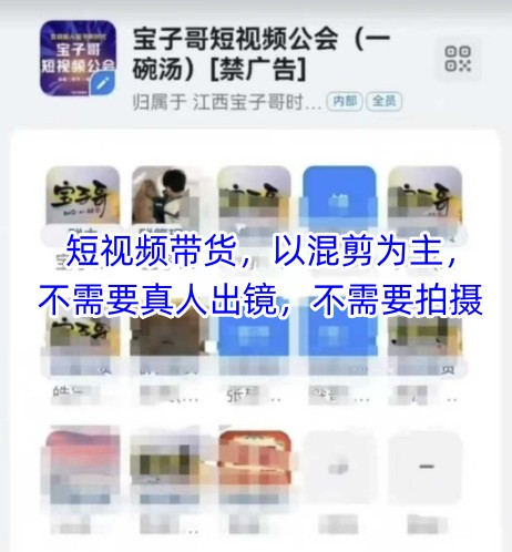 宝子哥头部团队短视频带货，以混剪为主，不需要真人出镜，不需要拍摄【更新6月】-点点短视频网