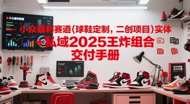 小众暴利赛道(球鞋定制，二创项目)实体+私域2025王炸组合  交付手册-点点短视频网