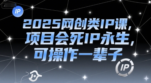 2025网创类IP课，项目会死IP永生，可操作一辈子-点点短视频网
