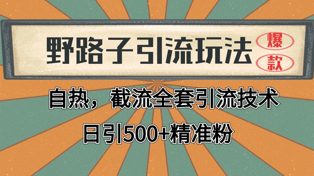 2024首发野路子引流玩法截流自热全平台打法，全自动引流【日引2000+精准客户】-点点短视频网