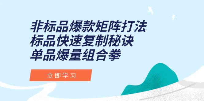 非标品爆款矩阵打法，标品快速复制秘诀，单品爆量组合拳-点点短视频网