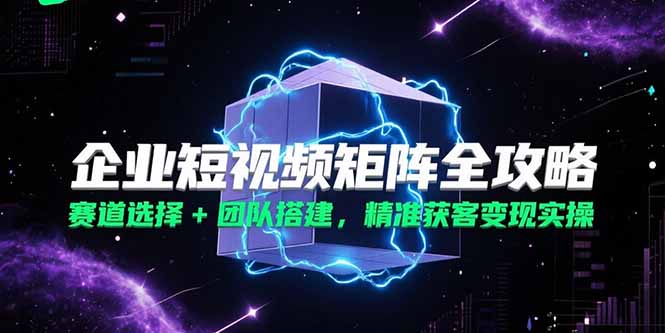 企业短视频矩阵全攻略，赛道选择+团队搭建，精准获客变现实操-点点短视频网