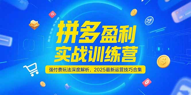 拼多多盈利实战训练营，强付费玩法深度解析，2025运营技巧合集-更新6月-点点短视频网