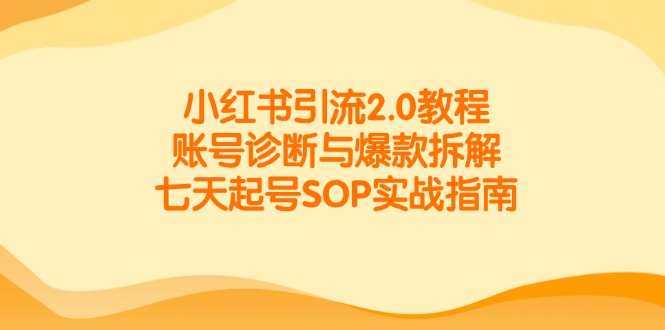 小红书引流2.0教程，账号诊断与爆款拆解，七天起号SOP实战指南-点点短视频网