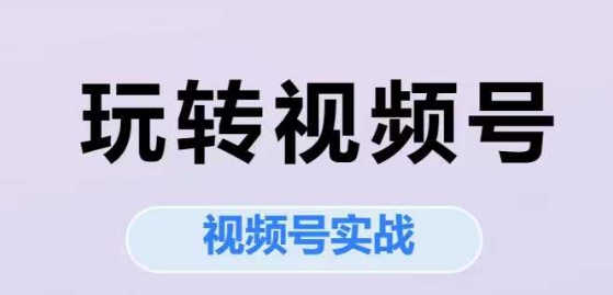 玩转视频号，视频号实战系列课-点点短视频网