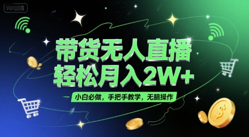 带货无人直播，轻松月入2W+，小白必做，手把手教学，无脑操作(附学习资料)-点点短视频网